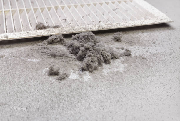 Best Air Duct Cleaning Company Near Me  in Geneva, NY